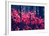 Fantastic Forest with Cotinus Coggygria. Dramatic Scene. Red Autumn Leaves. Crimea, Ukraine, Europe-Leonid Tit-Framed Photographic Print