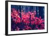 Fantastic Forest with Cotinus Coggygria. Dramatic Scene. Red Autumn Leaves. Crimea, Ukraine, Europe-Leonid Tit-Framed Photographic Print