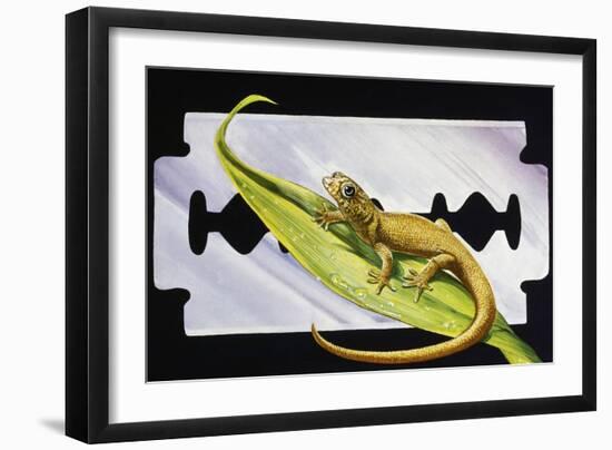 Fantastic Least Gecko (Sphaerodactylus Fantasticus), Gekkonidae-null-Framed Giclee Print