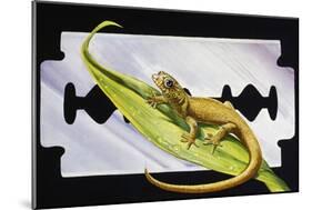 Fantastic Least Gecko (Sphaerodactylus Fantasticus), Gekkonidae-null-Mounted Giclee Print