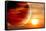 Fantastic Sunset in Alien Planet-frenta-Framed Stretched Canvas