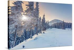 Fantastic Winter Landscape. Blue Sky. Carpathian, Ukraine, Europe. Beauty World.-Leonid Tit-Stretched Canvas