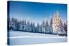 Fantastic Winter Landscape. Blue Sky. Carpathian, Ukraine, Europe. Beauty World.-Leonid Tit-Stretched Canvas