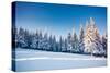 Fantastic Winter Landscape. Blue Sky. Carpathian, Ukraine, Europe. Beauty World.-Leonid Tit-Stretched Canvas