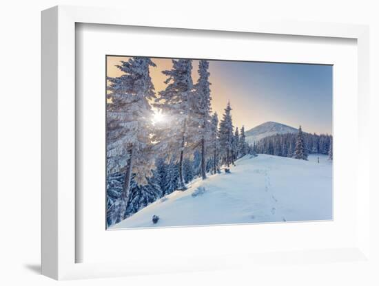 Fantastic Winter Landscape. Blue Sky. Carpathian, Ukraine, Europe. Beauty World.-Leonid Tit-Framed Photographic Print