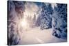 Fantastic Winter Landscape in the Sunny Beams. Dramatic Wintry Scene. Carpathian, Ukraine, Europe.-Leonid Tit-Stretched Canvas