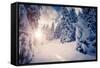 Fantastic Winter Landscape in the Sunny Beams. Dramatic Wintry Scene. Carpathian, Ukraine, Europe.-Leonid Tit-Framed Stretched Canvas