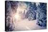 Fantastic Winter Landscape in the Sunny Beams. Dramatic Wintry Scene. Carpathian, Ukraine, Europe.-Leonid Tit-Stretched Canvas