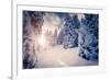 Fantastic Winter Landscape in the Sunny Beams. Dramatic Wintry Scene. Carpathian, Ukraine, Europe.-Leonid Tit-Framed Photographic Print