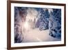 Fantastic Winter Landscape in the Sunny Beams. Dramatic Wintry Scene. Carpathian, Ukraine, Europe.-Leonid Tit-Framed Photographic Print