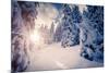 Fantastic Winter Landscape in the Sunny Beams. Dramatic Wintry Scene. Carpathian, Ukraine, Europe.-Leonid Tit-Mounted Photographic Print