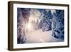 Fantastic Winter Landscape in the Sunny Beams. Dramatic Wintry Scene. Carpathian, Ukraine, Europe.-Leonid Tit-Framed Photographic Print