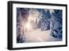 Fantastic Winter Landscape in the Sunny Beams. Dramatic Wintry Scene. Carpathian, Ukraine, Europe.-Leonid Tit-Framed Photographic Print