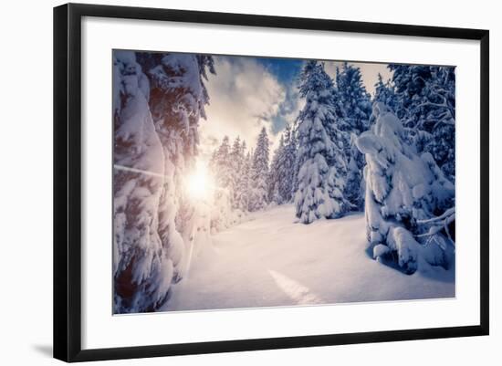 Fantastic Winter Landscape in the Sunny Beams. Dramatic Wintry Scene. Carpathian, Ukraine, Europe.-Leonid Tit-Framed Photographic Print