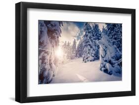 Fantastic Winter Landscape in the Sunny Beams. Dramatic Wintry Scene. Carpathian, Ukraine, Europe.-Leonid Tit-Framed Photographic Print