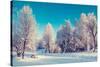 Fantastic Winter Landscape. Ukraine, Europe. Beauty World.-Leonid Tit-Stretched Canvas