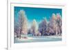 Fantastic Winter Landscape. Ukraine, Europe. Beauty World.-Leonid Tit-Framed Photographic Print