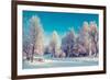 Fantastic Winter Landscape. Ukraine, Europe. Beauty World.-Leonid Tit-Framed Photographic Print