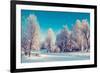 Fantastic Winter Landscape. Ukraine, Europe. Beauty World.-Leonid Tit-Framed Photographic Print