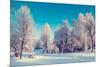 Fantastic Winter Landscape. Ukraine, Europe. Beauty World.-Leonid Tit-Mounted Photographic Print