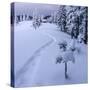 Fantastic Winter Landscape with Snowy Trees. Carpathians, Ukraine, Europe.-Smit-Stretched Canvas