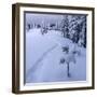 Fantastic Winter Landscape with Snowy Trees. Carpathians, Ukraine, Europe.-Smit-Framed Photographic Print