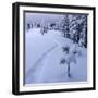 Fantastic Winter Landscape with Snowy Trees. Carpathians, Ukraine, Europe.-Smit-Framed Photographic Print