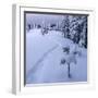 Fantastic Winter Landscape with Snowy Trees. Carpathians, Ukraine, Europe.-Smit-Framed Photographic Print