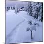 Fantastic Winter Landscape with Snowy Trees. Carpathians, Ukraine, Europe.-Smit-Mounted Photographic Print