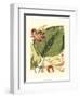 Fantastical Botanical I-Vision Studio-Framed Art Print