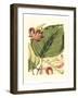 Fantastical Botanical I-Vision Studio-Framed Art Print