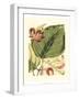 Fantastical Botanical I-Vision Studio-Framed Art Print