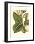 Fantastical Botanical IV-Vision Studio-Framed Art Print