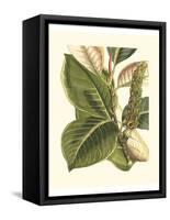 Fantastical Botanical IV-Vision Studio-Framed Stretched Canvas