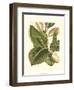 Fantastical Botanical IV-Vision Studio-Framed Art Print
