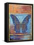 Fantasy Butterfly-2-Jean Plout-Framed Stretched Canvas