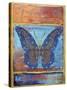 Fantasy Butterfly-2-Jean Plout-Stretched Canvas