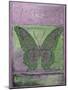 Fantasy Butterfly-Purple-Jean Plout-Mounted Giclee Print