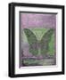 Fantasy Butterfly-Purple-Jean Plout-Framed Premium Giclee Print