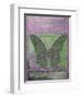 Fantasy Butterfly-Purple-Jean Plout-Framed Premium Giclee Print