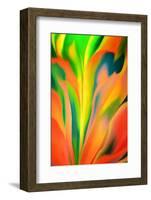 Fantasy Flower-Ursula Abresch-Framed Photographic Print