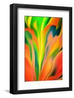 Fantasy Flower-Ursula Abresch-Framed Photographic Print