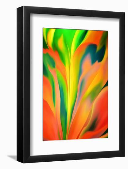 Fantasy Flower-Ursula Abresch-Framed Photographic Print