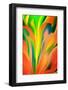 Fantasy Flower-Ursula Abresch-Framed Photographic Print