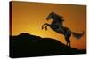 Fantasy Horses 01-Bob Langrish-Stretched Canvas