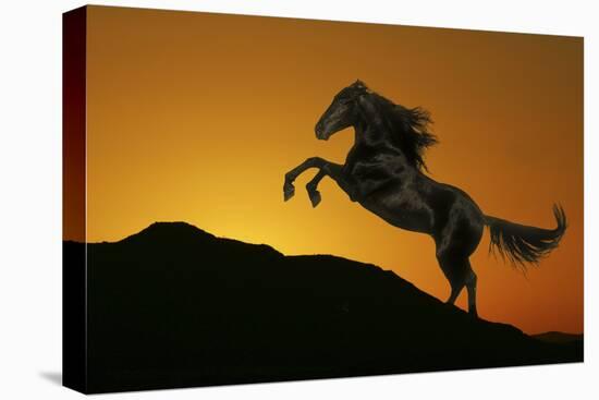 Fantasy Horses 01-Bob Langrish-Stretched Canvas