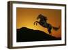 Fantasy Horses 01-Bob Langrish-Framed Photographic Print