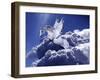 Fantasy Horses 18-Bob Langrish-Framed Photographic Print