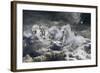 Fantasy Horses 24-Bob Langrish-Framed Photographic Print