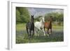 Fantasy Horses 25-Bob Langrish-Framed Photographic Print